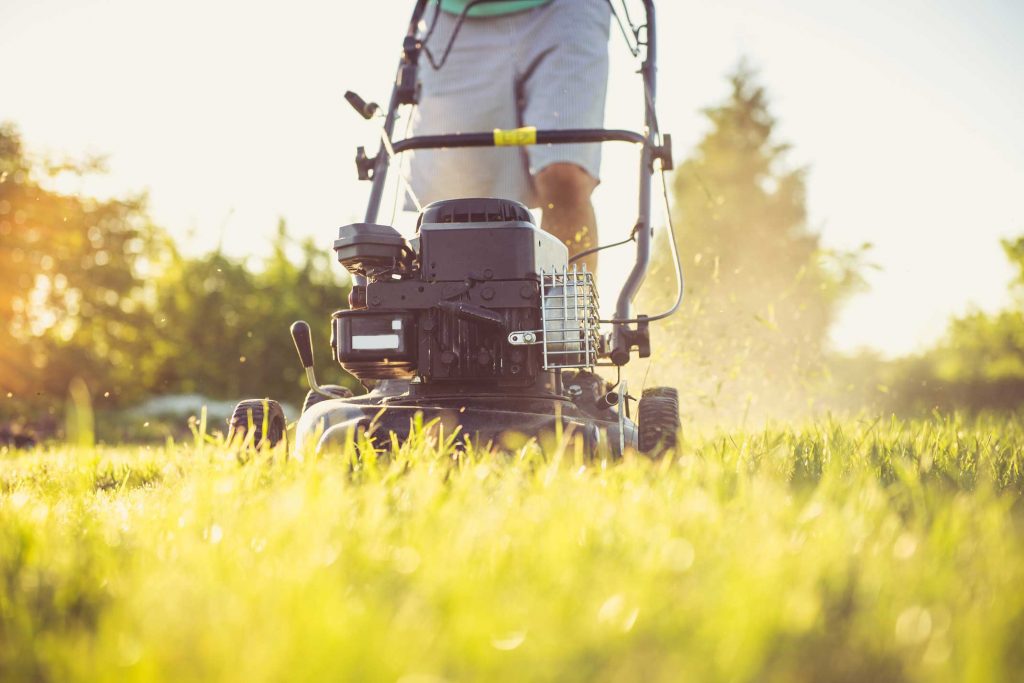 Lawn care services