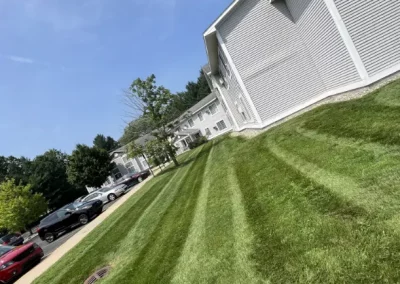 Professional Landscaping Companies