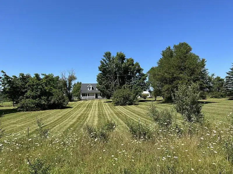 Lawn Care in Harrison, MI