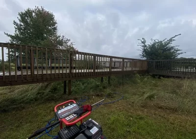 Professional Lawn Maintenance