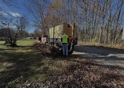 Professional Lawn Maintenance