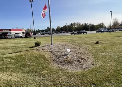 Professional Lawn Maintenance