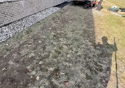 Professional Lawn Maintenance