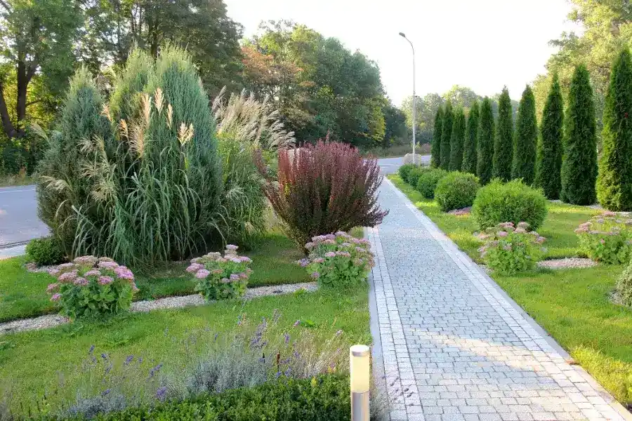 Soil Health Importance in Commercial Lawn Maintenance Harrison, MI