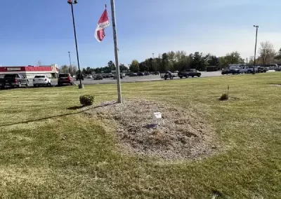 Affordable Landscape Contractor