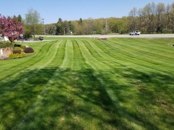 Commercial Lawn Maintenance