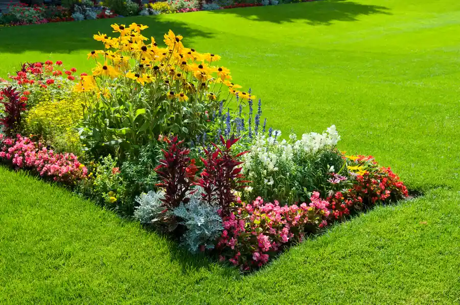 How Landscape Design Services Enhance Your Property Value Harrison, MI How Landscape Design Services Enhance Your Property Value Harrison, MI