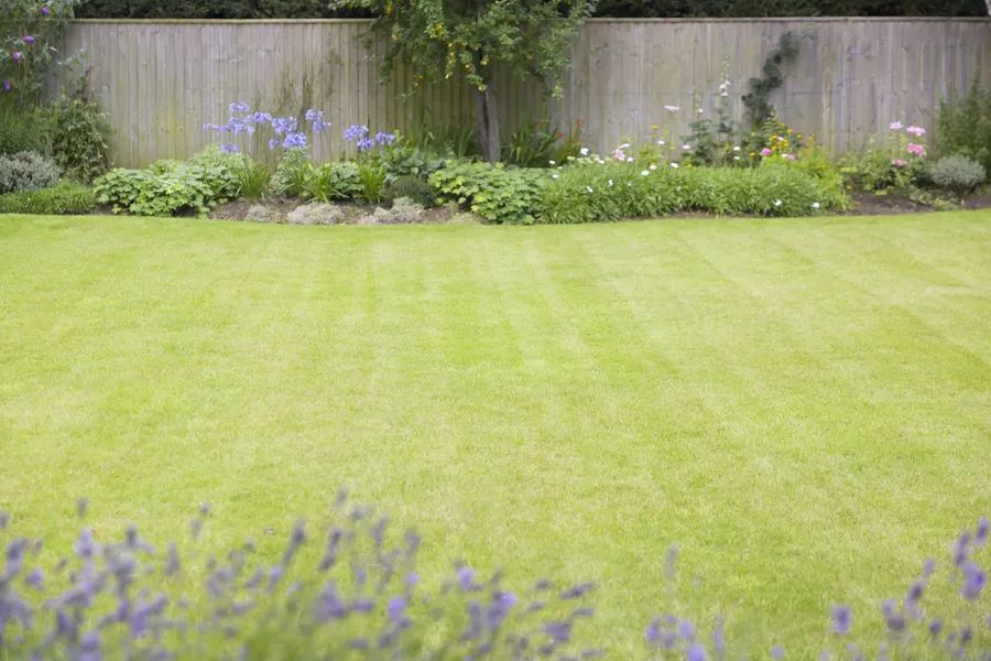 Lawn Disease Prevention For Homeowners in Harrison, MI