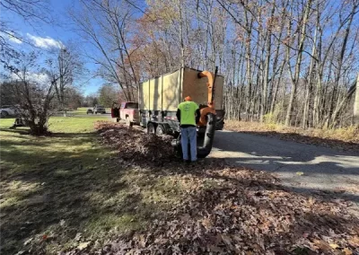 Professional Landscaper