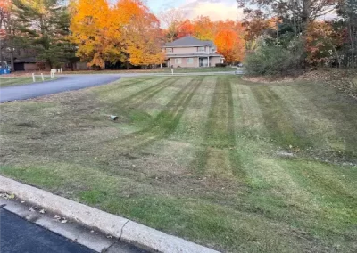 Professional Landscaper