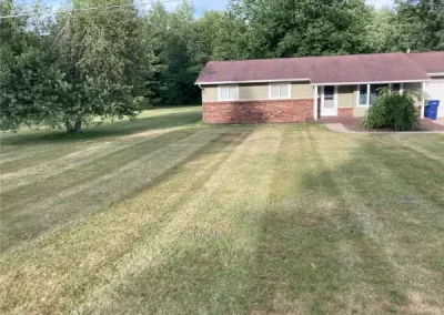 Professional Landscaper