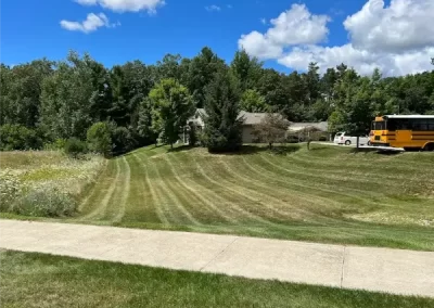 Professional Landscaper