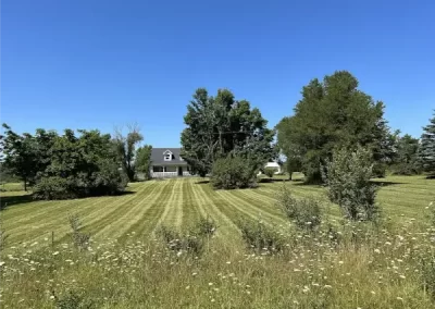 Professional Landscaper