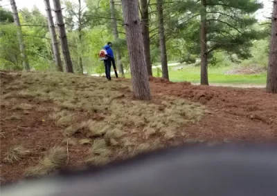 Professional Landscaper