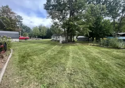 Professional Landscaper