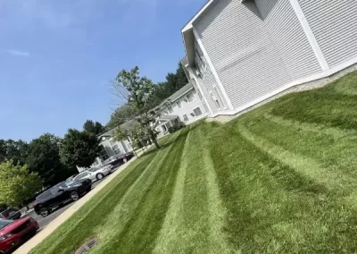 Reliable Landscaping Contractor