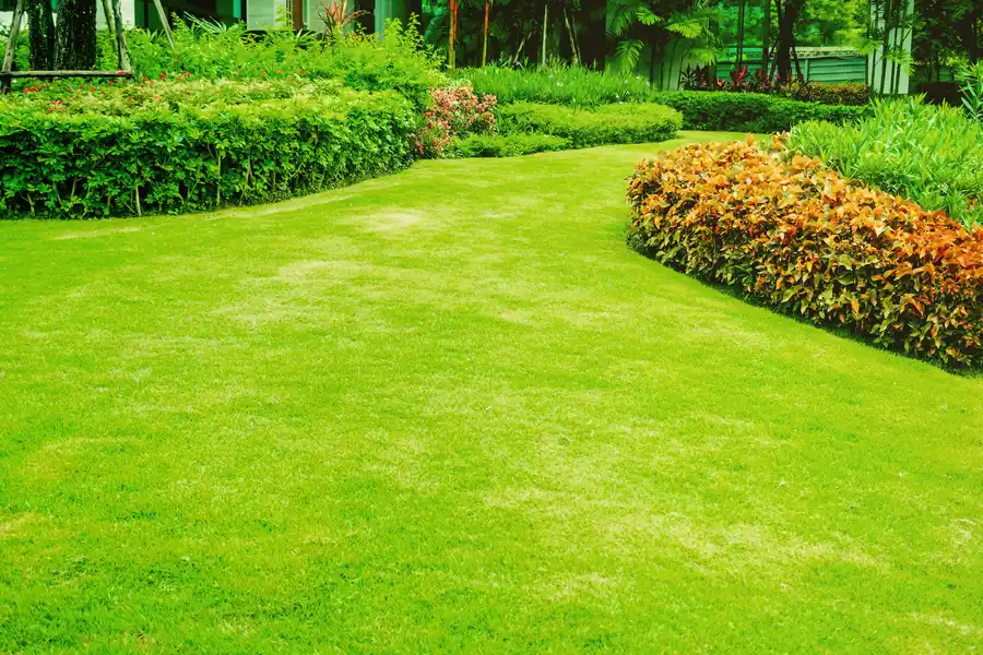 Seasonal Fertilizing For Residential Lawns in Harrison, MI