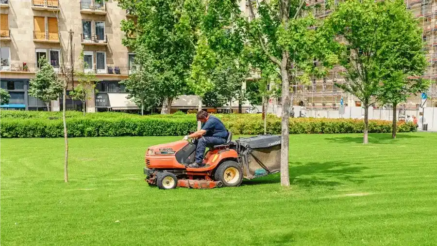 Affordable Commercial Lawn Maintenance in Harrison, MI
