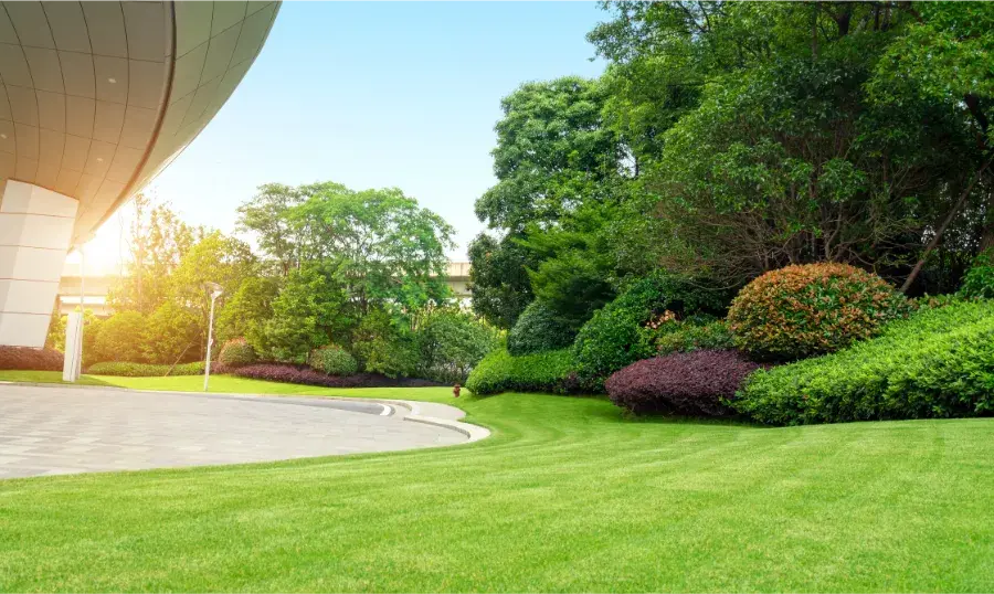 Professional Commercial Lawn Maintenance in Harrison, MI