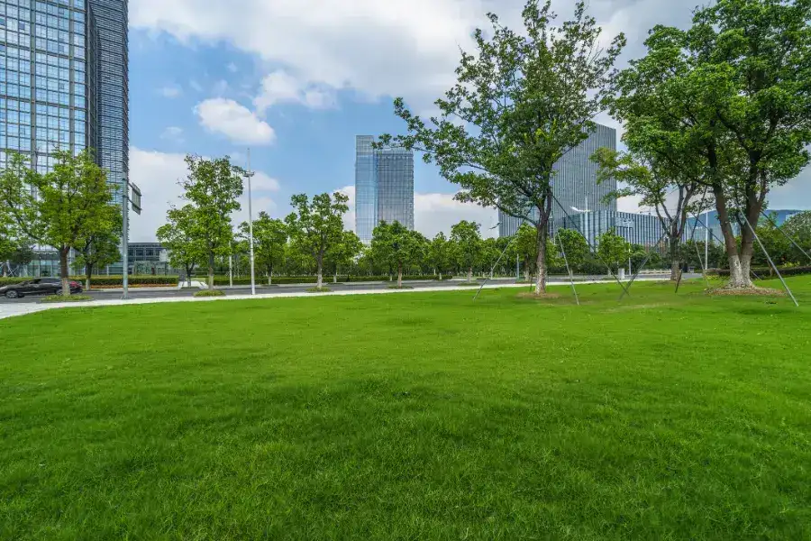 Reliable Commercial Lawn Maintenance in Harrison, MI